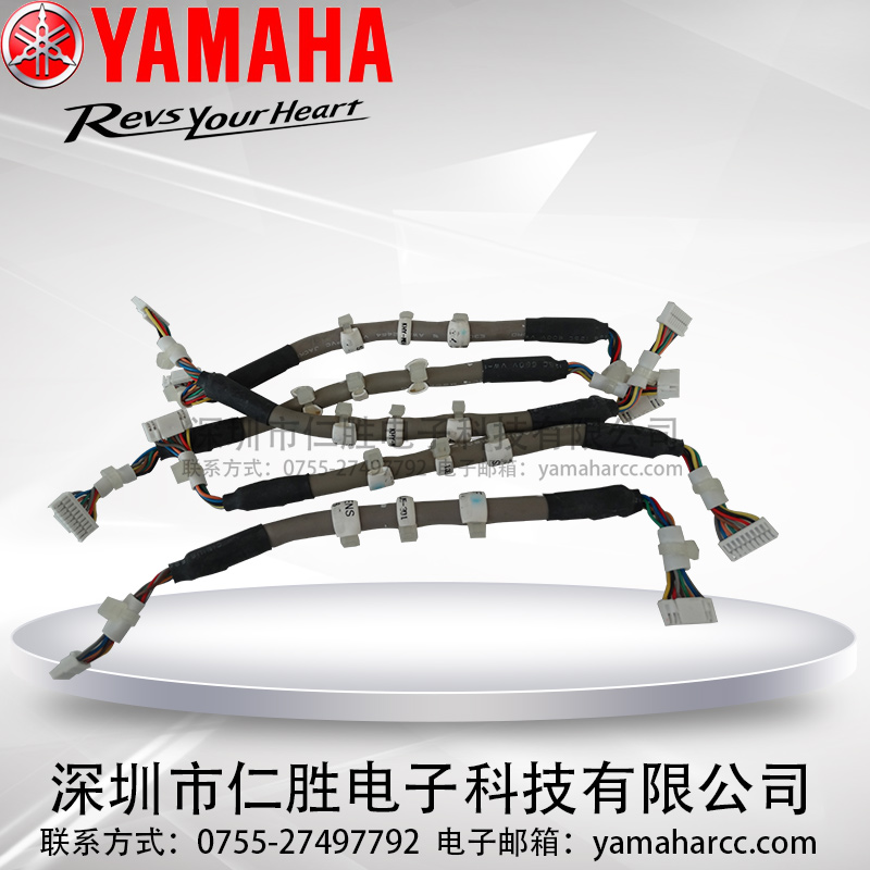 RNƬCYS12/24 /YG12  ZSR_(d)BӾKHY-M66J5-251 301 141