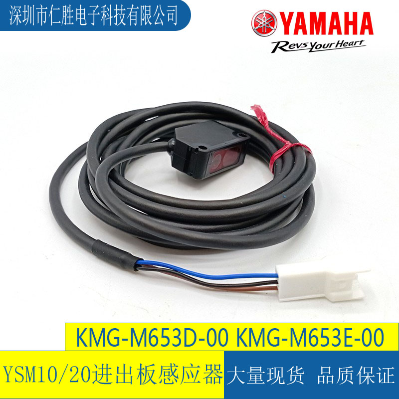 RYSM20/20RMБKMG-M653D-00 KMG-M653E-00